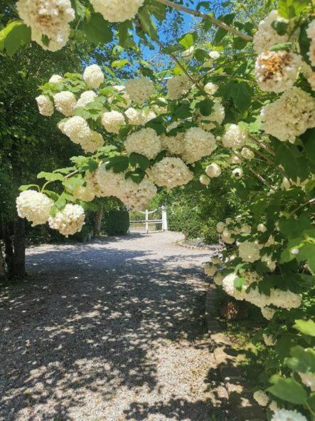 Le Clos De La Rose Gite Bien Etre Wirwignes Eksteriør billede