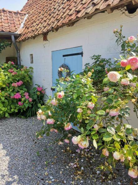 Le Clos De La Rose Gite Bien Etre Wirwignes Eksteriør billede