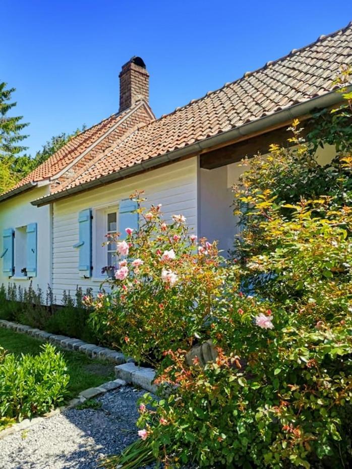 Le Clos De La Rose Gite Bien Etre Wirwignes Eksteriør billede